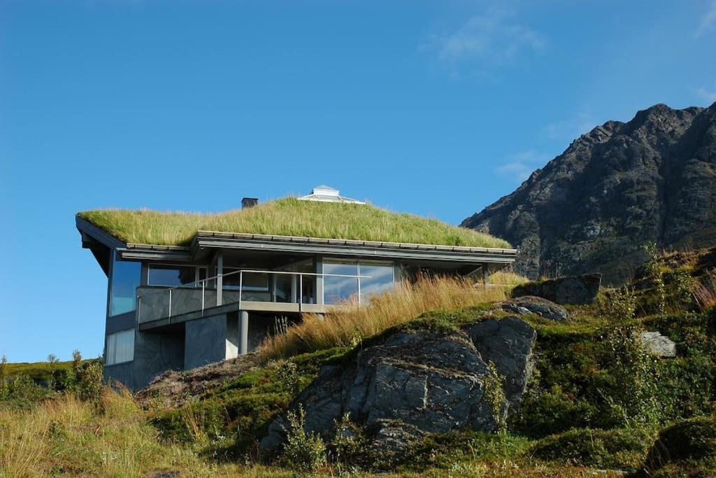 Lyngstuva Lodge - Aurora in Lyngen