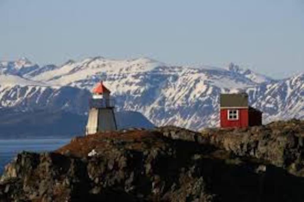 Photo 43