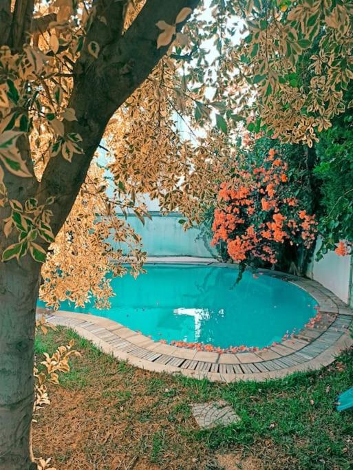 Villa avec piscine privée view 4