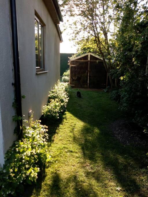 Photo 13