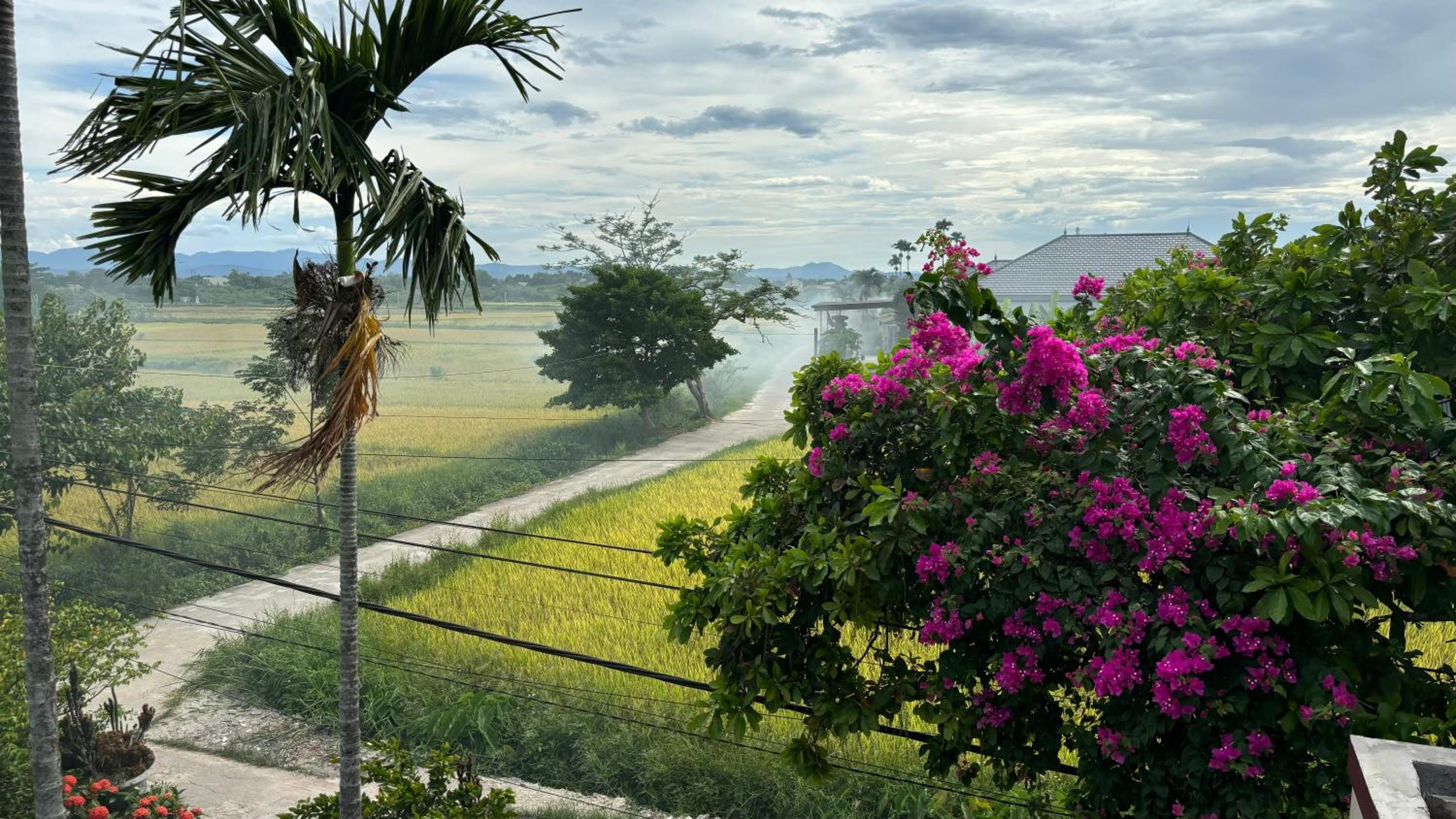 Le Chung Mansion view 3
