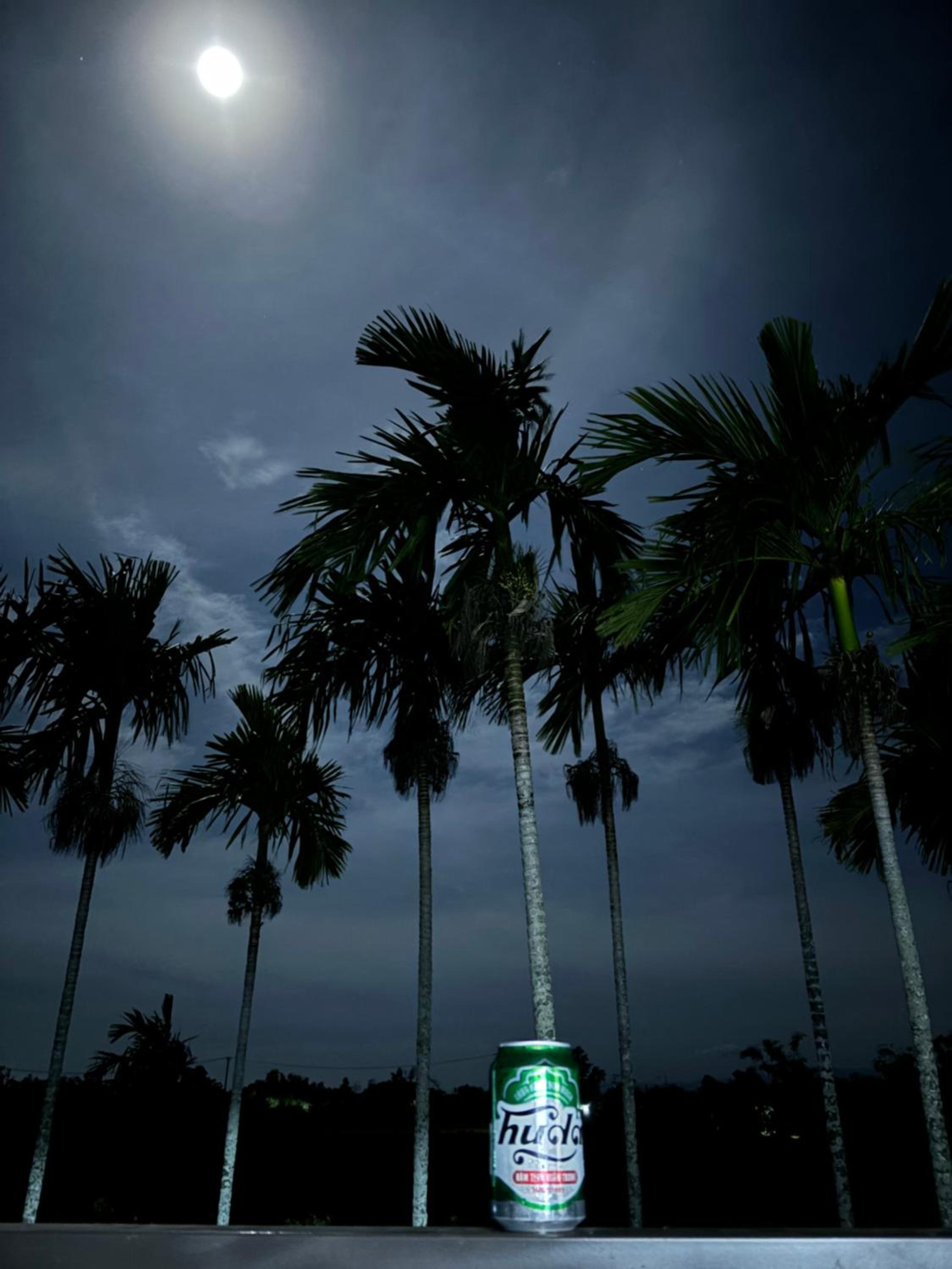 Le Chung Mansion view 5