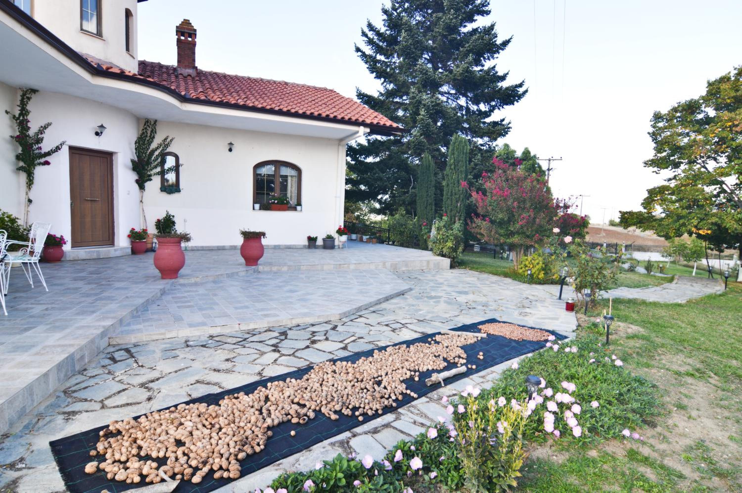 Villa Elysia