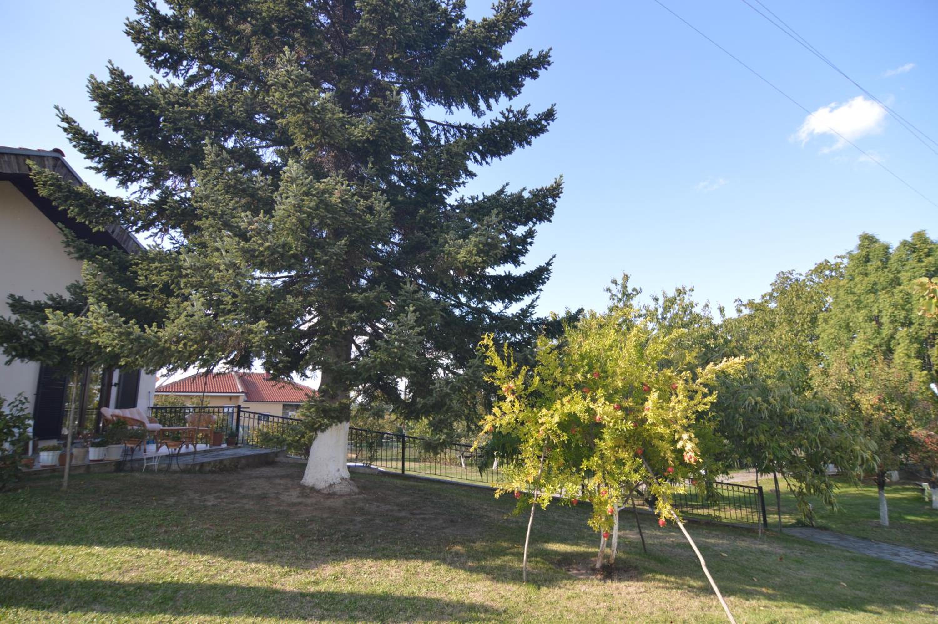 Villa Elysia