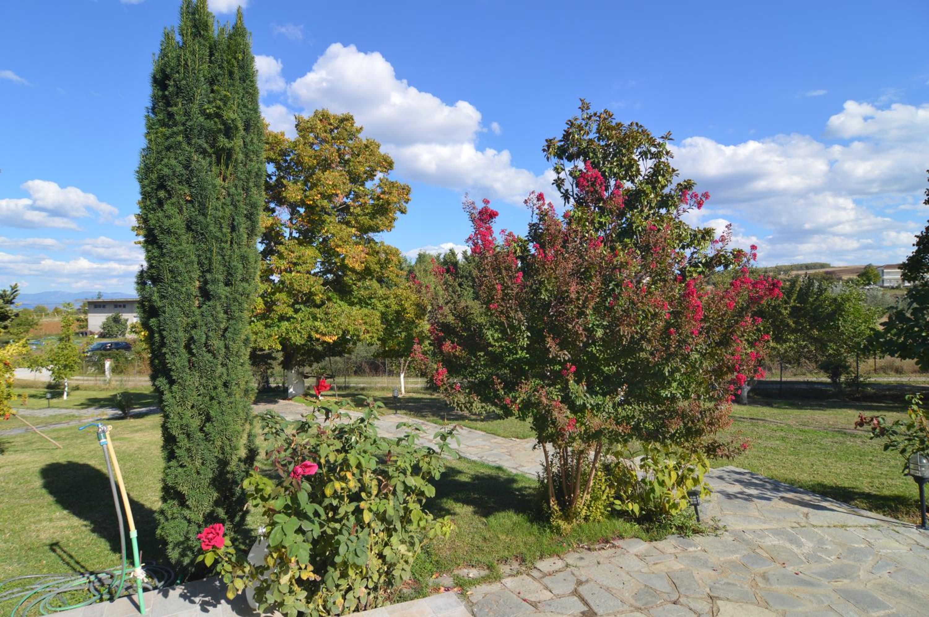 Villa Elysia
