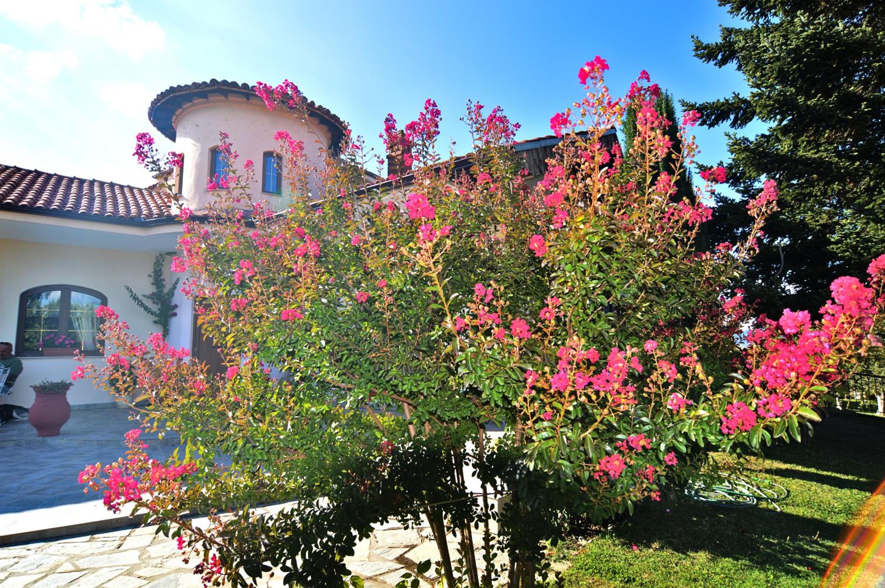 Villa Elysia