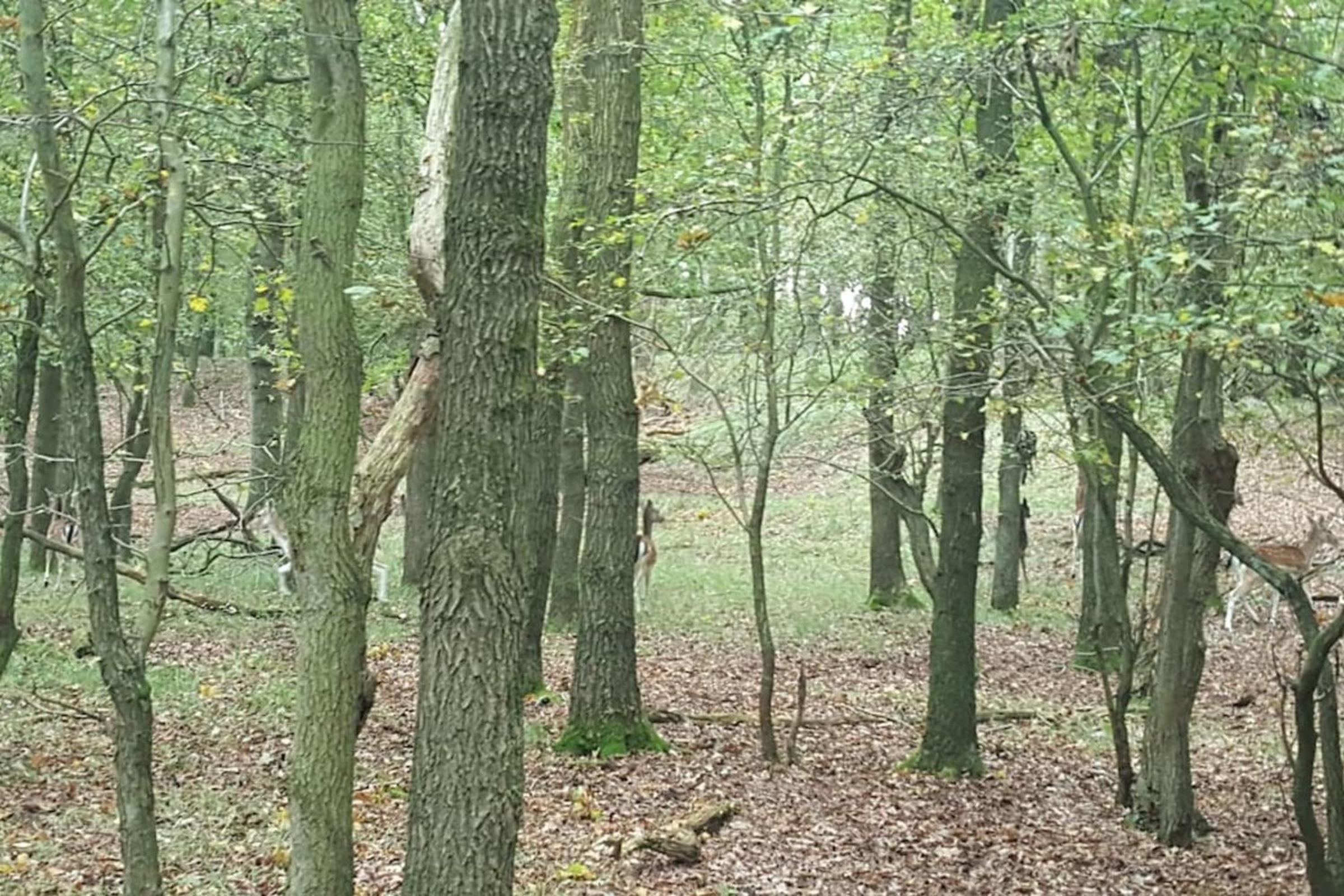 Photo 23