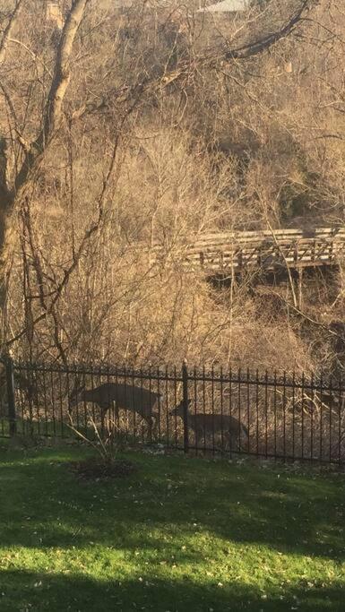 Serene Don River Nature gateway- 2BR suite, Private Patio, Free Parking
