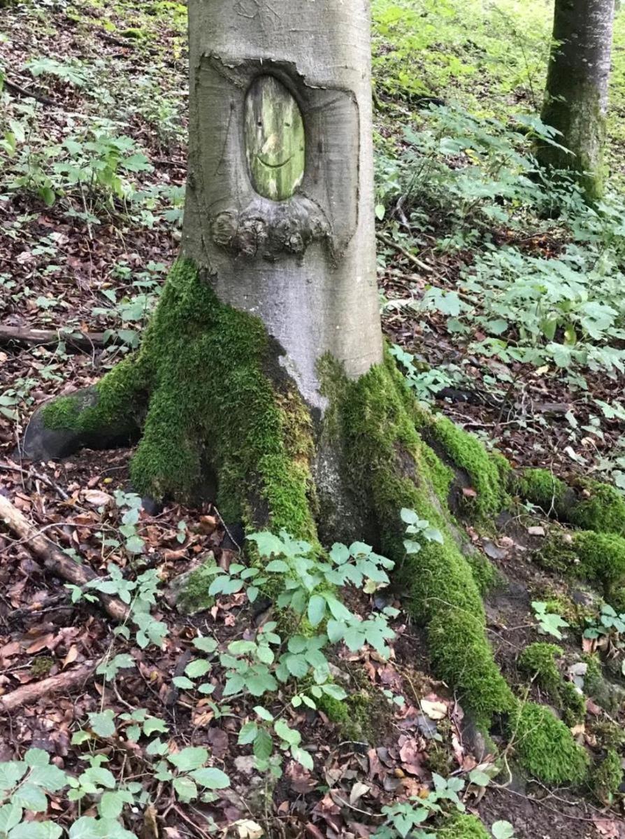 Freistehendes Ferienhaus mit Kamin, Sauna, atemberaubenden Blick ins Tal, mehrere Terrassen, 1500qm Grundstück 1,6m hoch eingezäunt