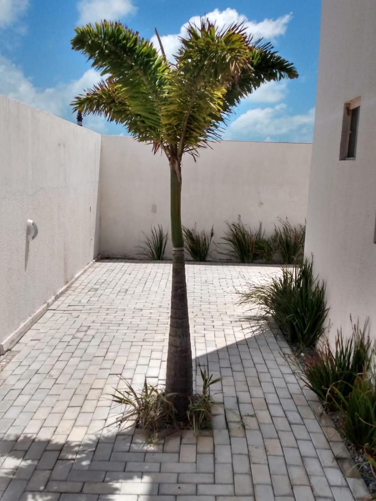 Casa Esquina do Brasil - Beira mar - Praia de Touros