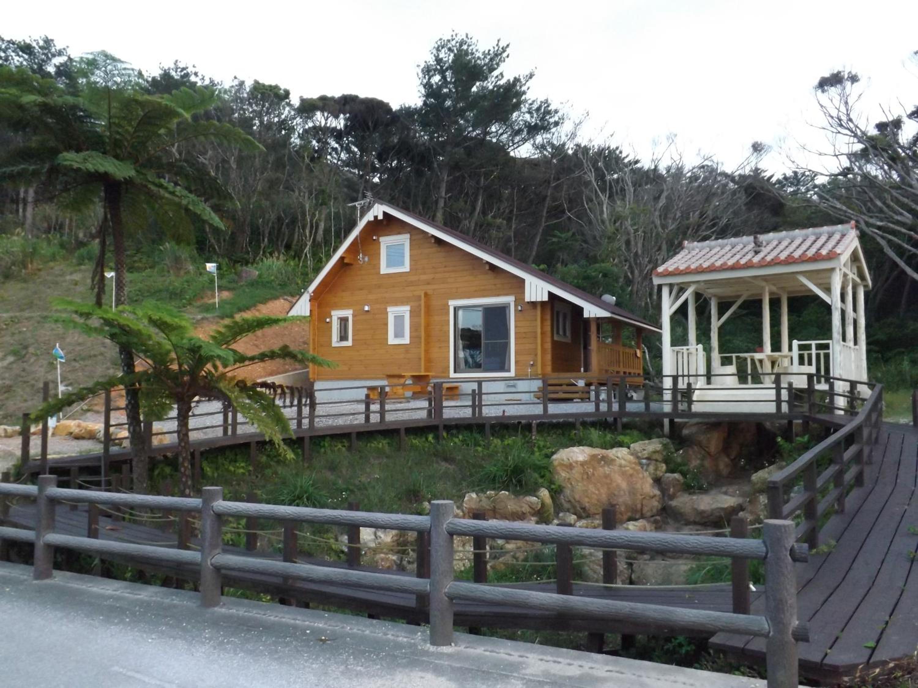 Photo 12