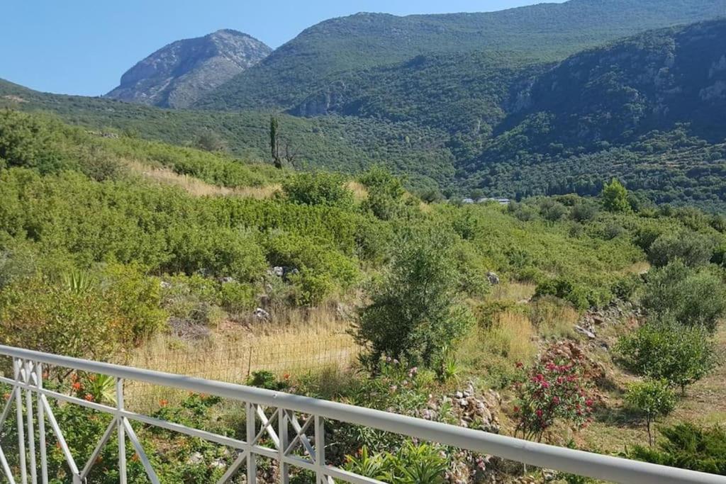 Spacious Retreat with Captivating Mnt View view 4