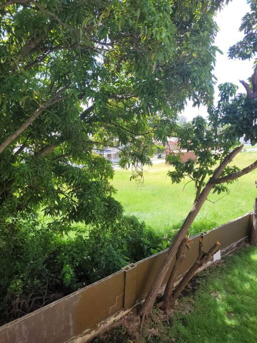 Graeme Hall Park Apartment