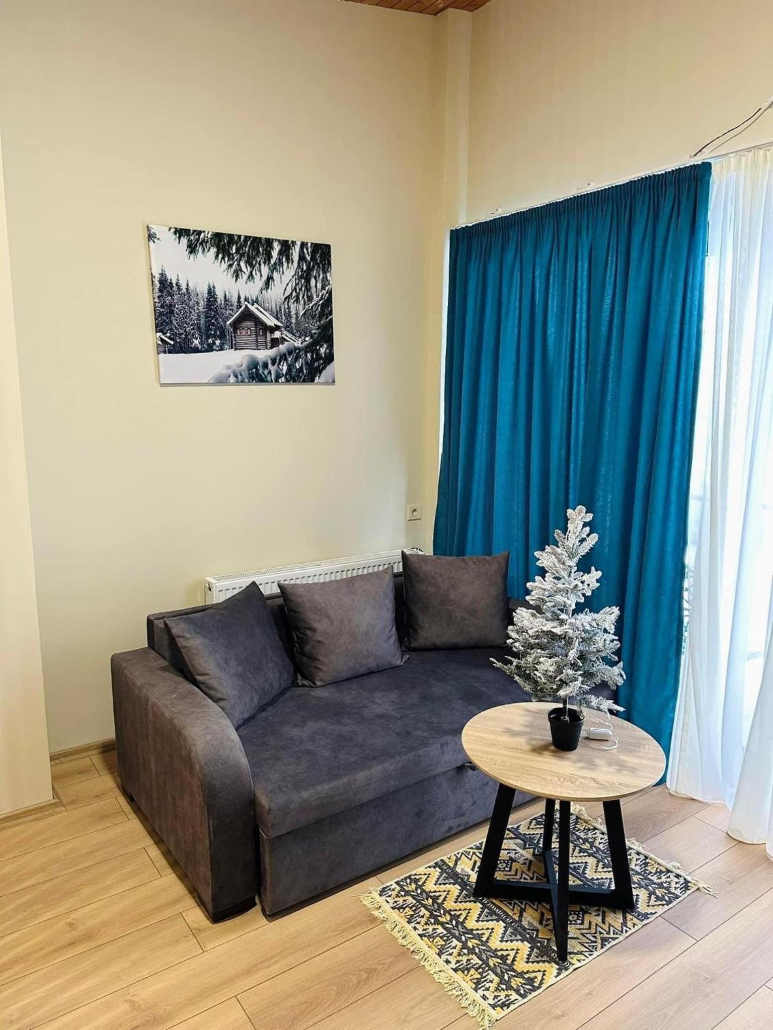 Bakuriani Window Development Didveli
