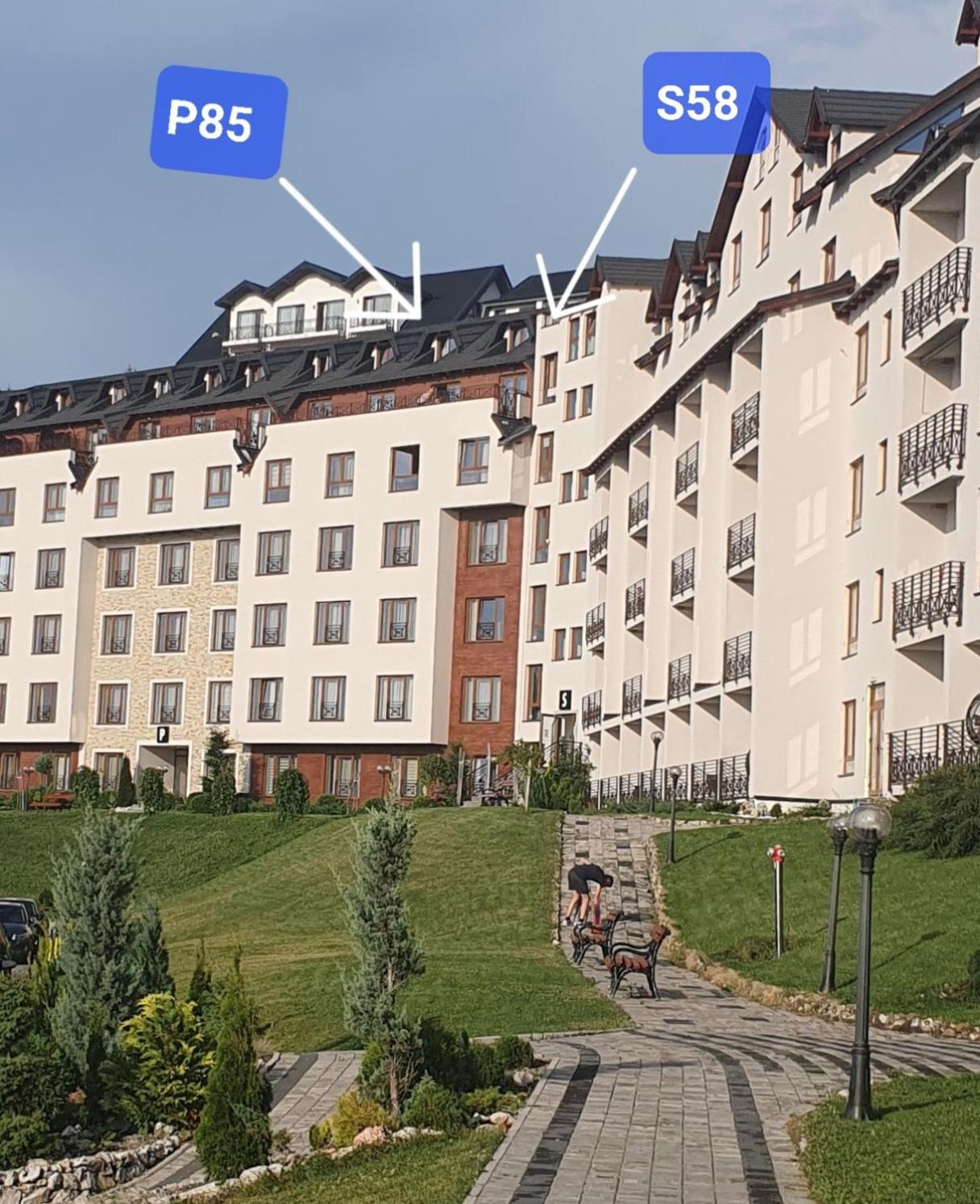 Mips Amadeus P85 view 3