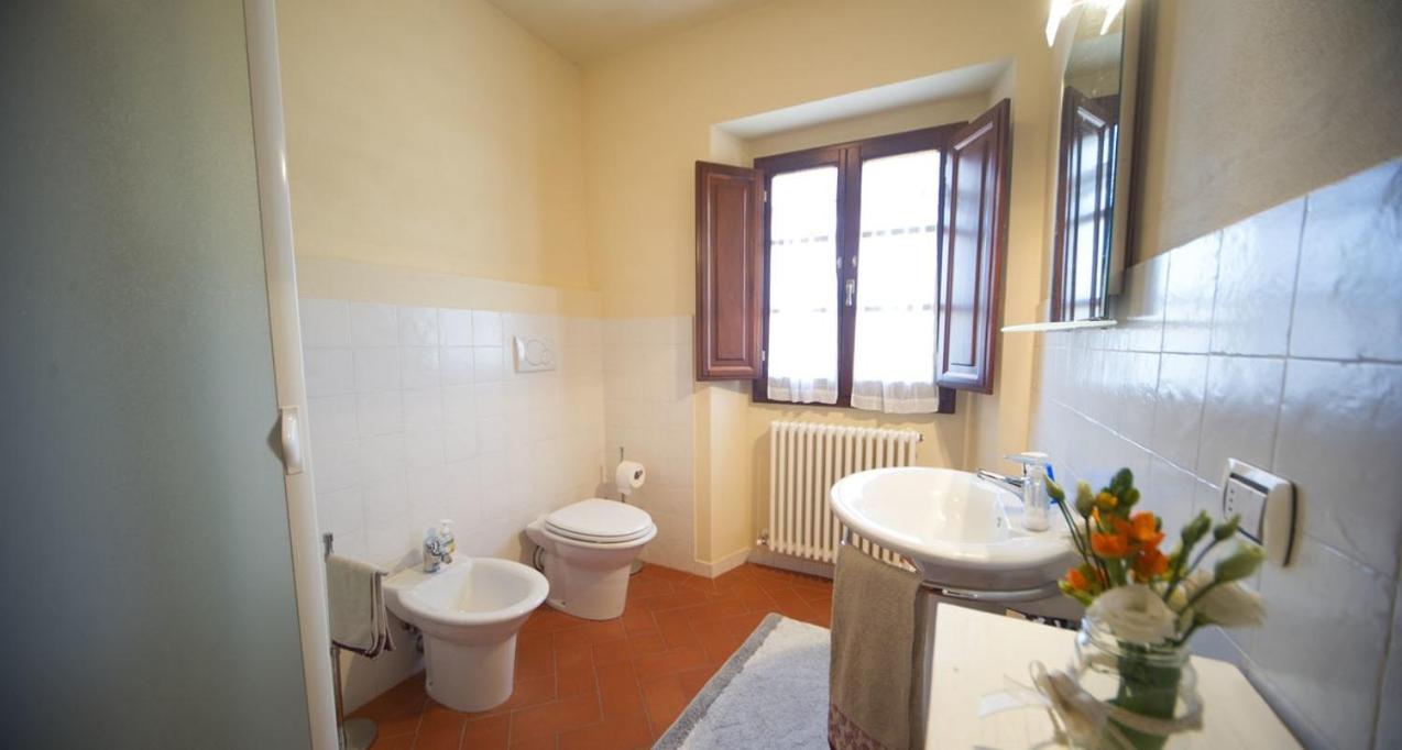 azienda agricola lo zolfino, photo 9