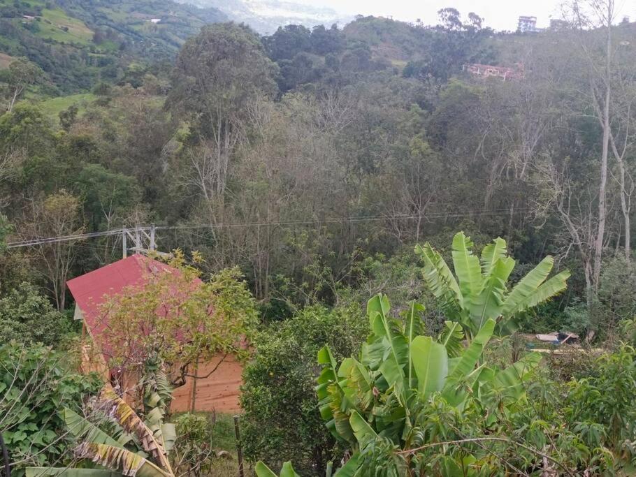 Ecocabañas B&B - Cabaña de lujo con jacuzzi privado cerca a termales