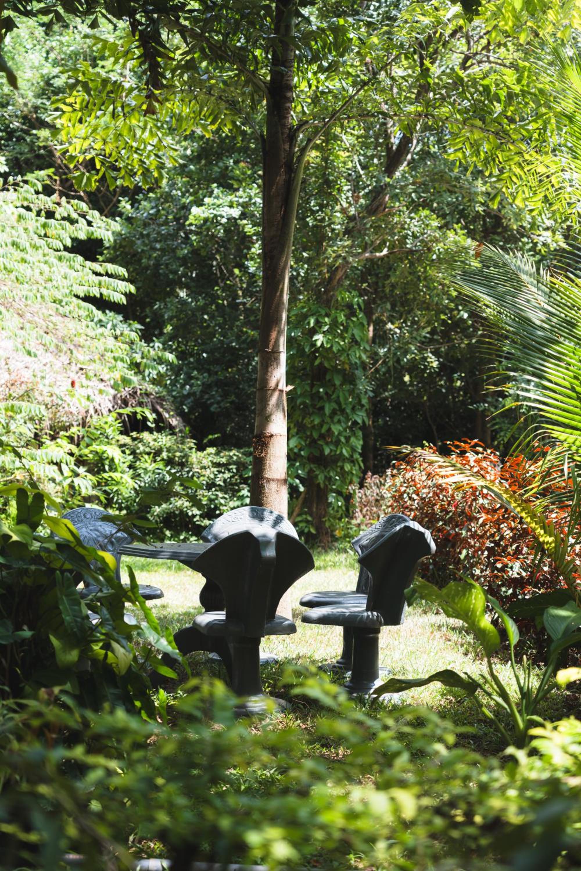 Sundaras Infinity Jungle Resort