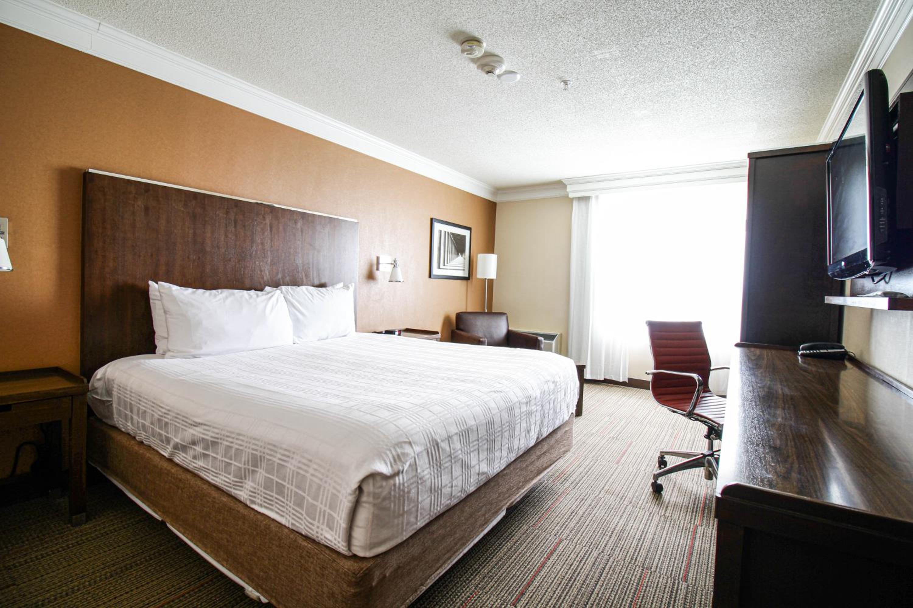 Waterloo Suites Hotel, Bilde 51