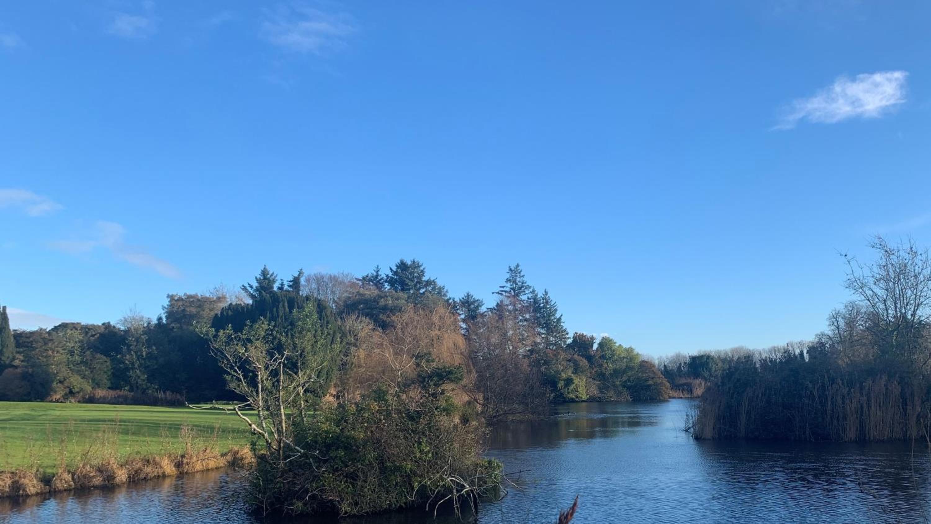 Barmeath Castle Guest House view 5