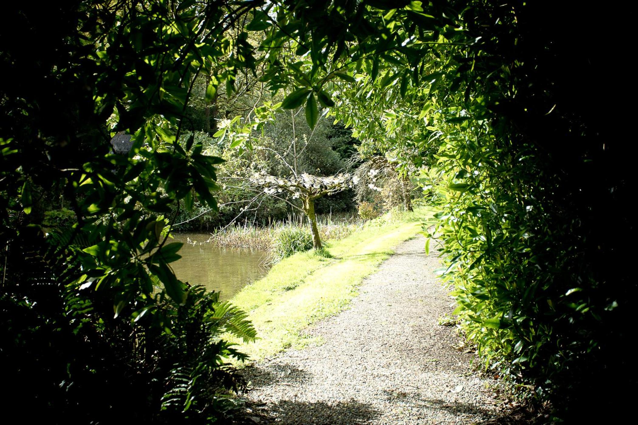 Photo 40