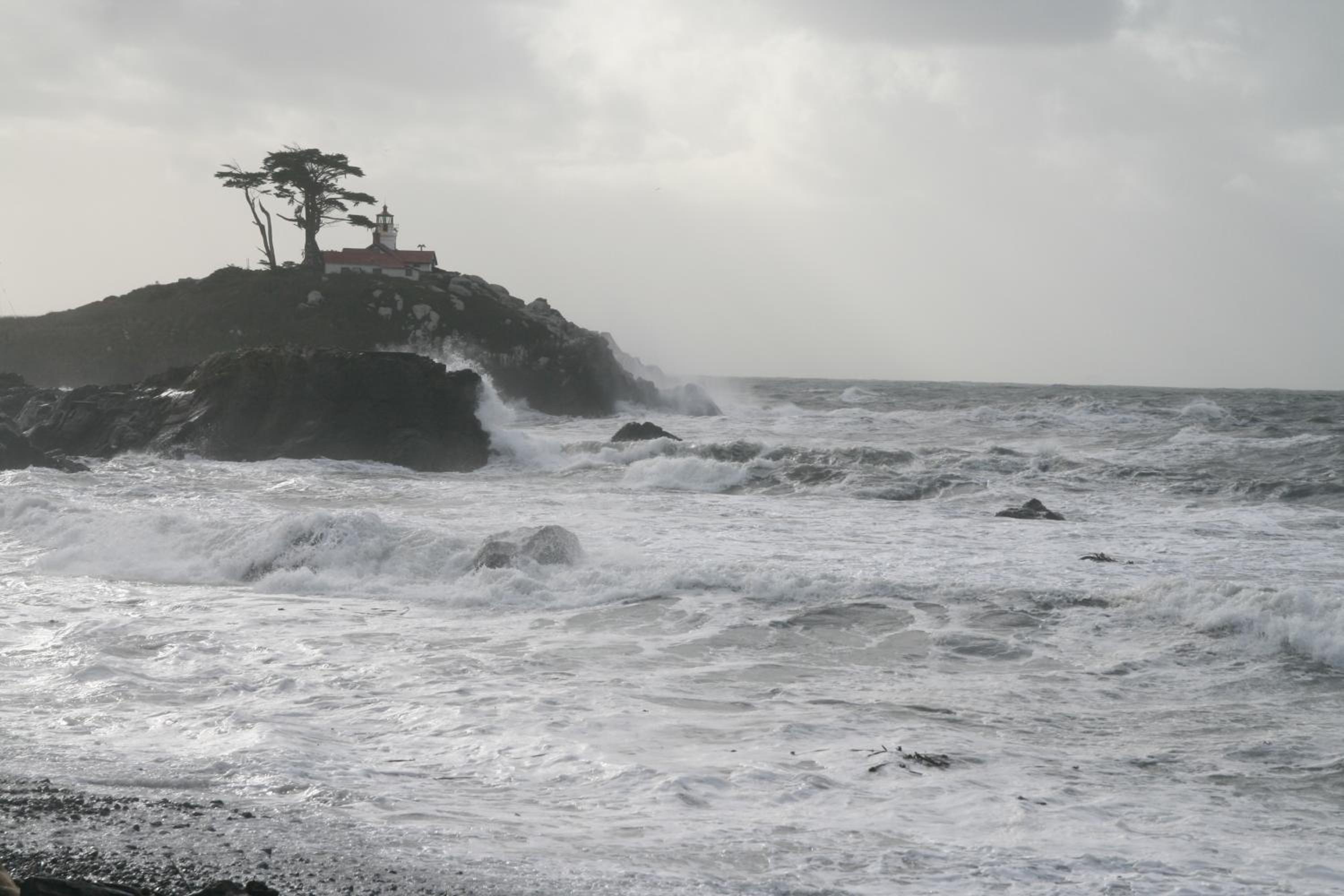 Oceanfront Lodge, photo 12