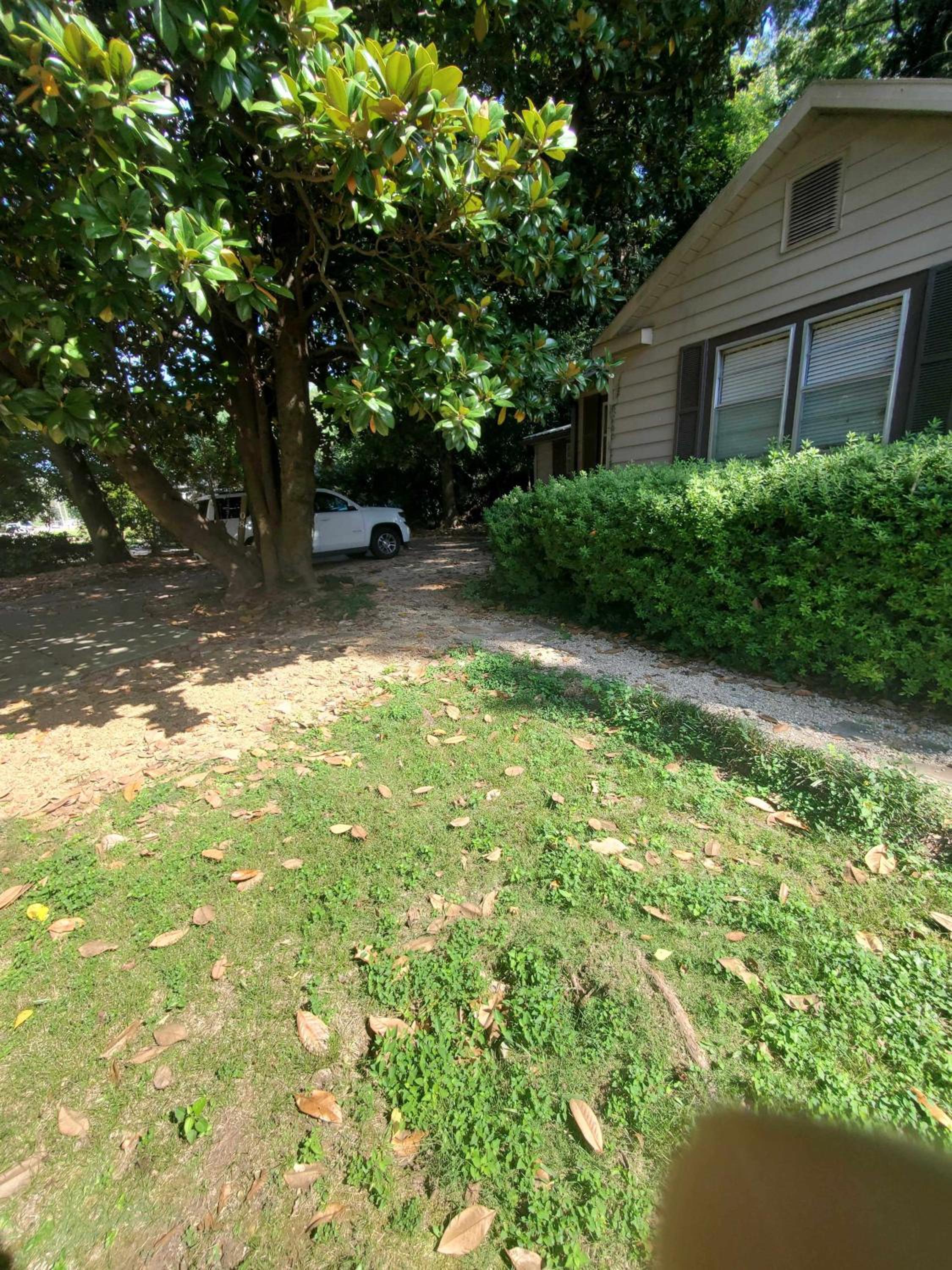 Photo 28