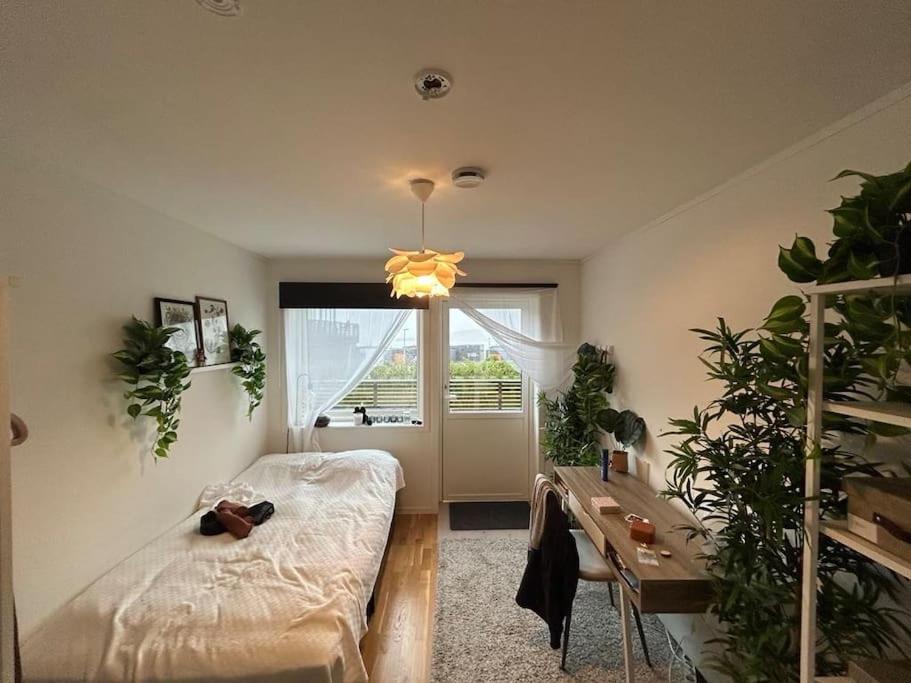 Moderne og privat leilighet i Tromsø- gratis parkering! view 2