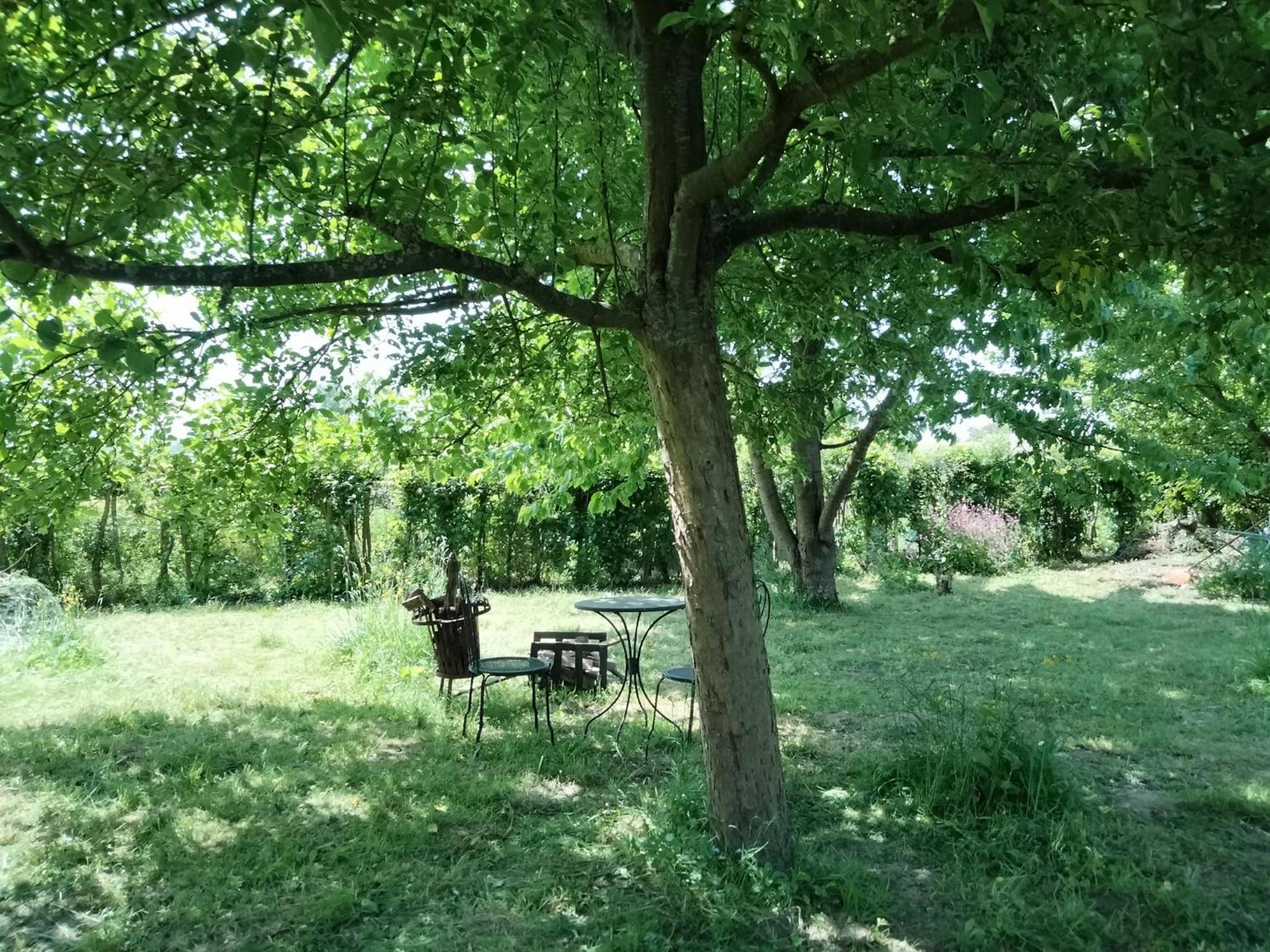 Hanami - studio