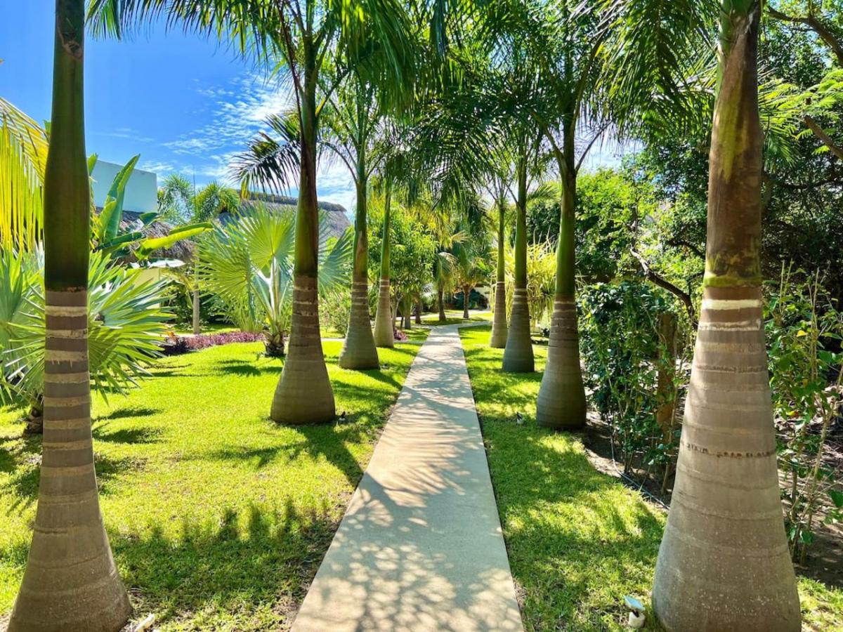 Casa Mona - Beachfront Luxury Villa - Verified Listing view 5