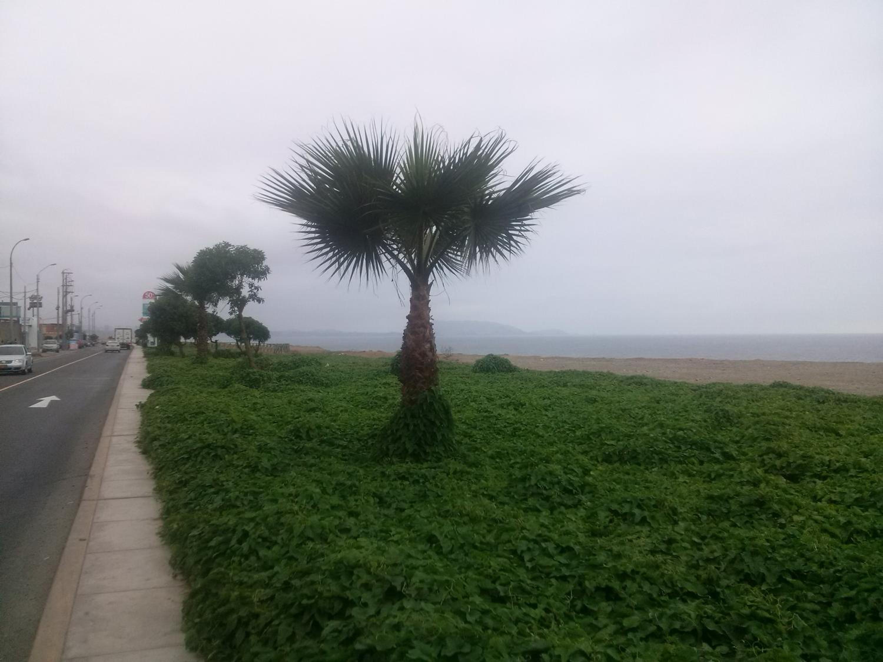 Photo 38
