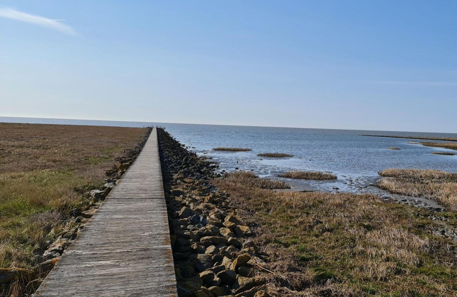 Küstenperle Nordsee mit Balkon und Gemeinschaftssauna