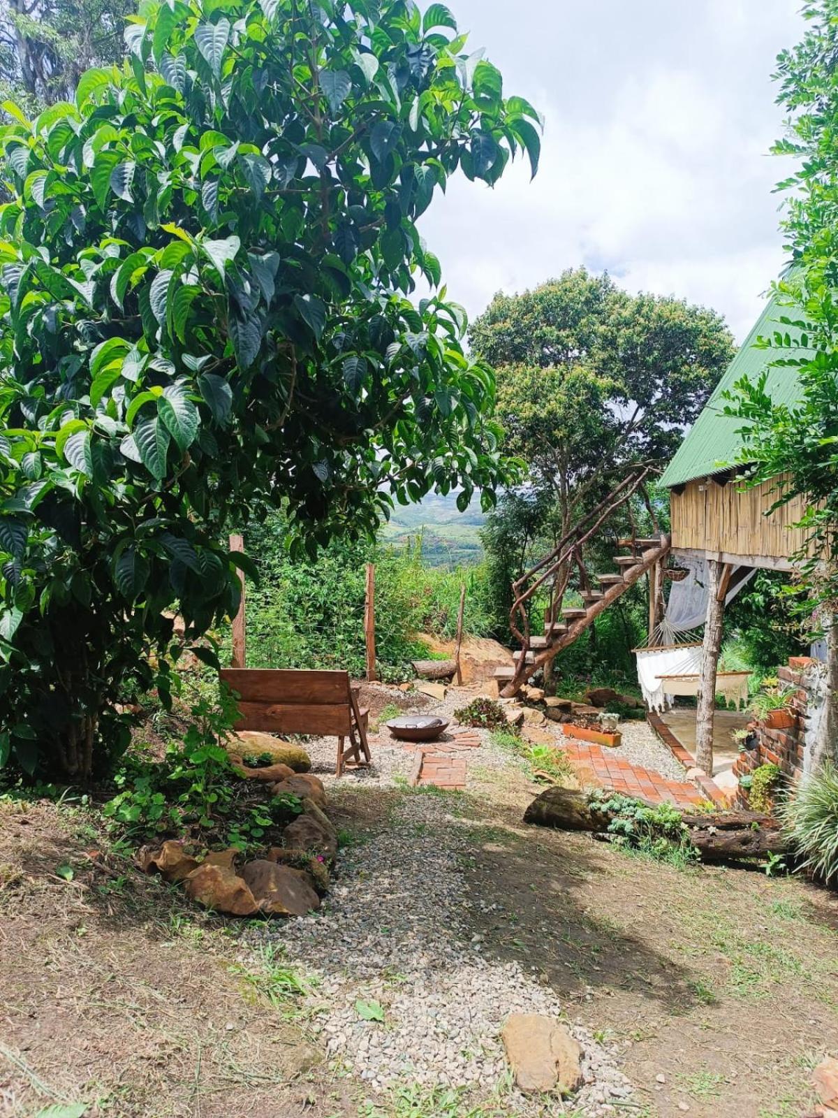Glamping el nido