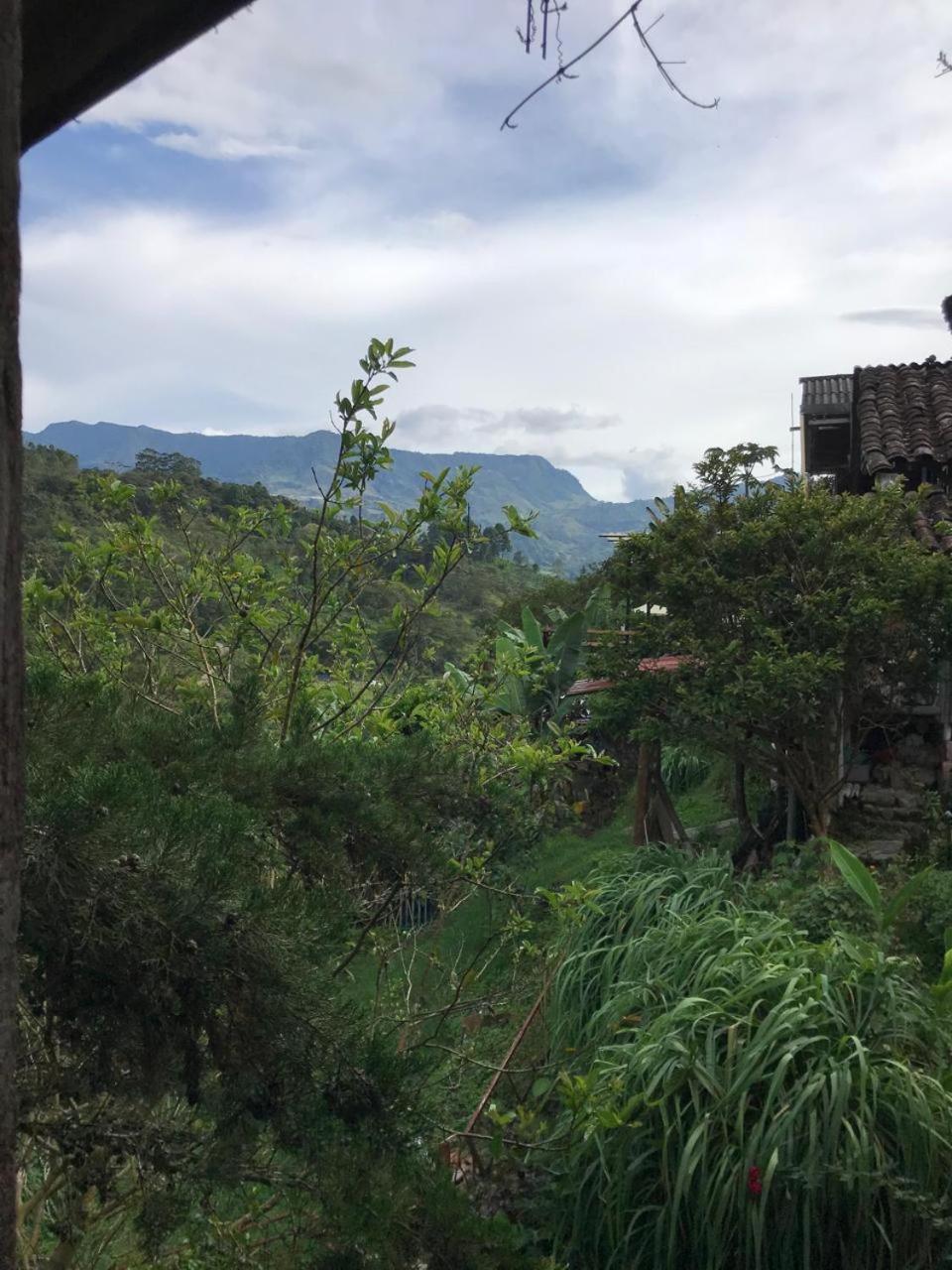 Forastera cabin