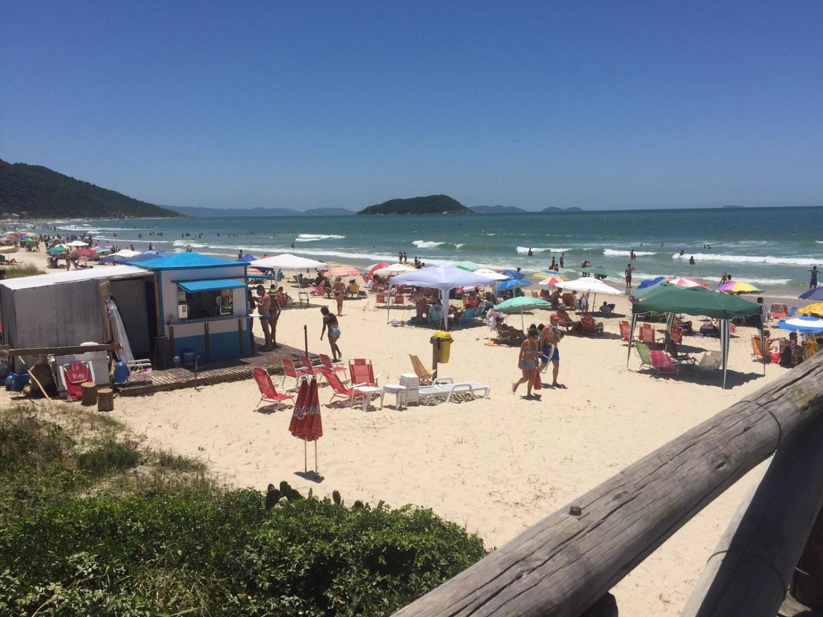 Apartamento palmas 302