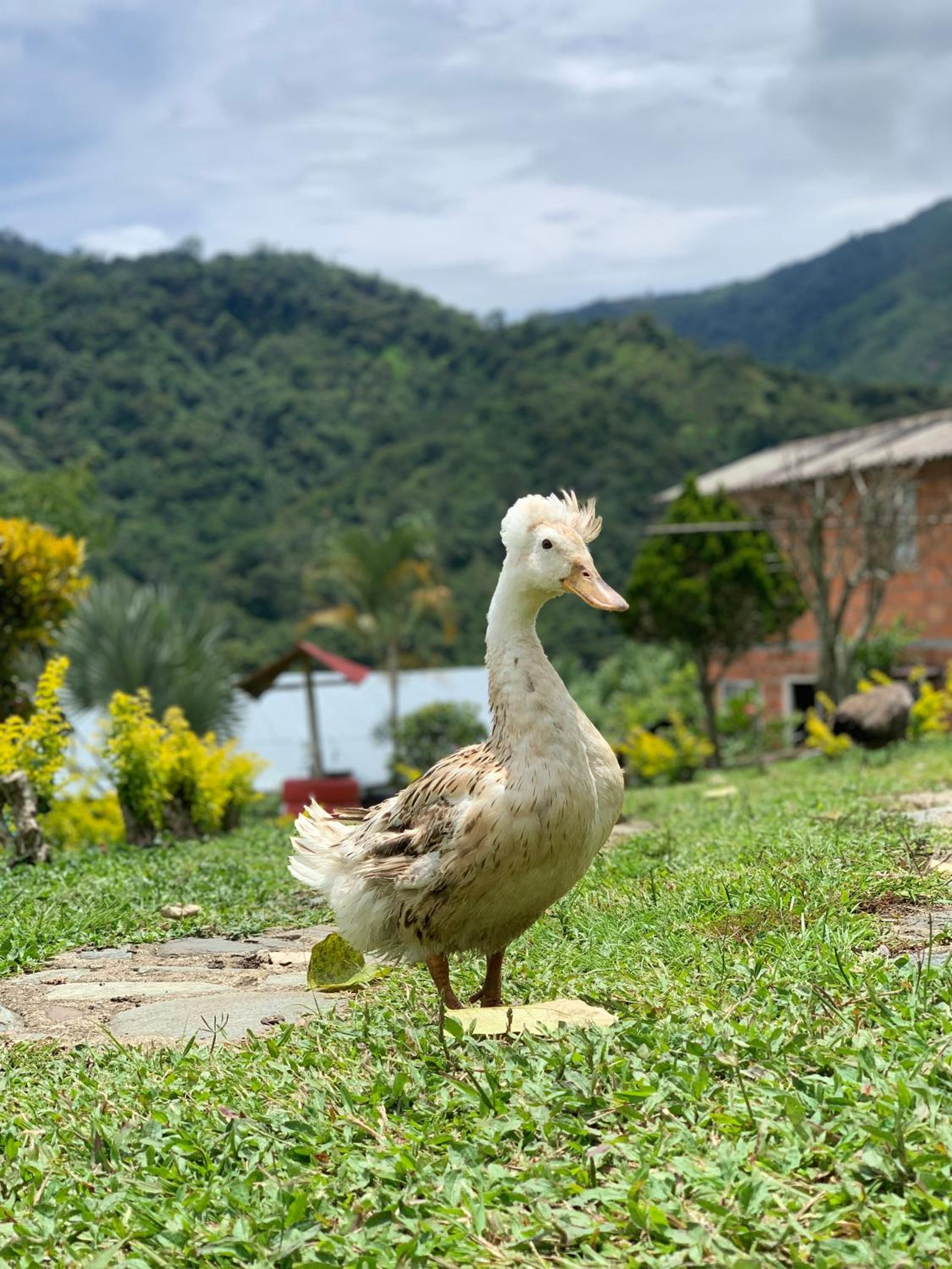 Finca Ecoparaiso