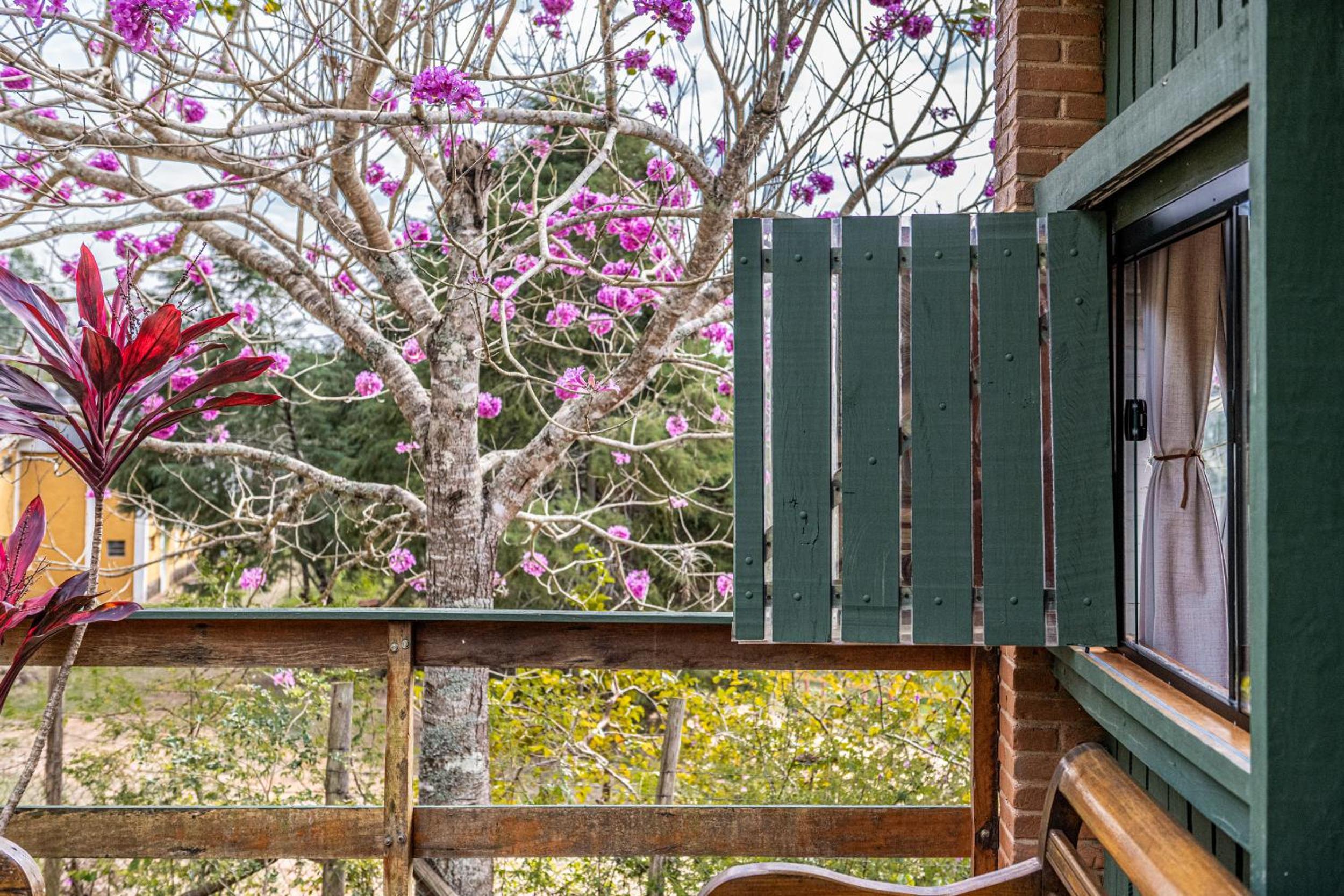 Casa Celeiro - Refugio Pet-Friendly perto de SP e SJC