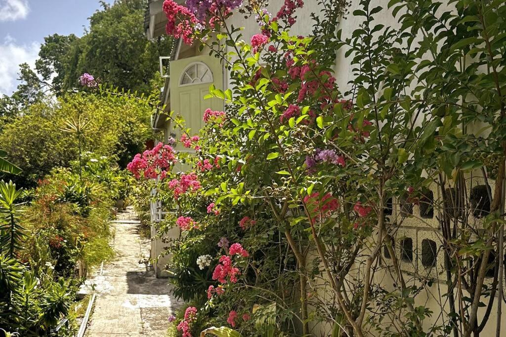 Diarlo- 2 bed house in Oistins