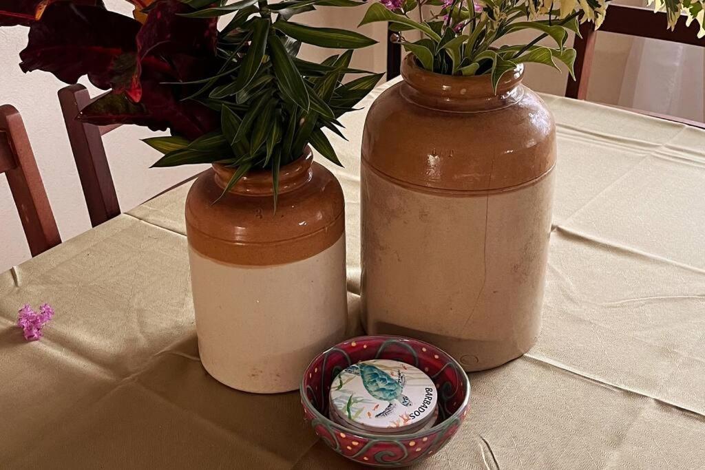 Diarlo- 2 bed house in Oistins