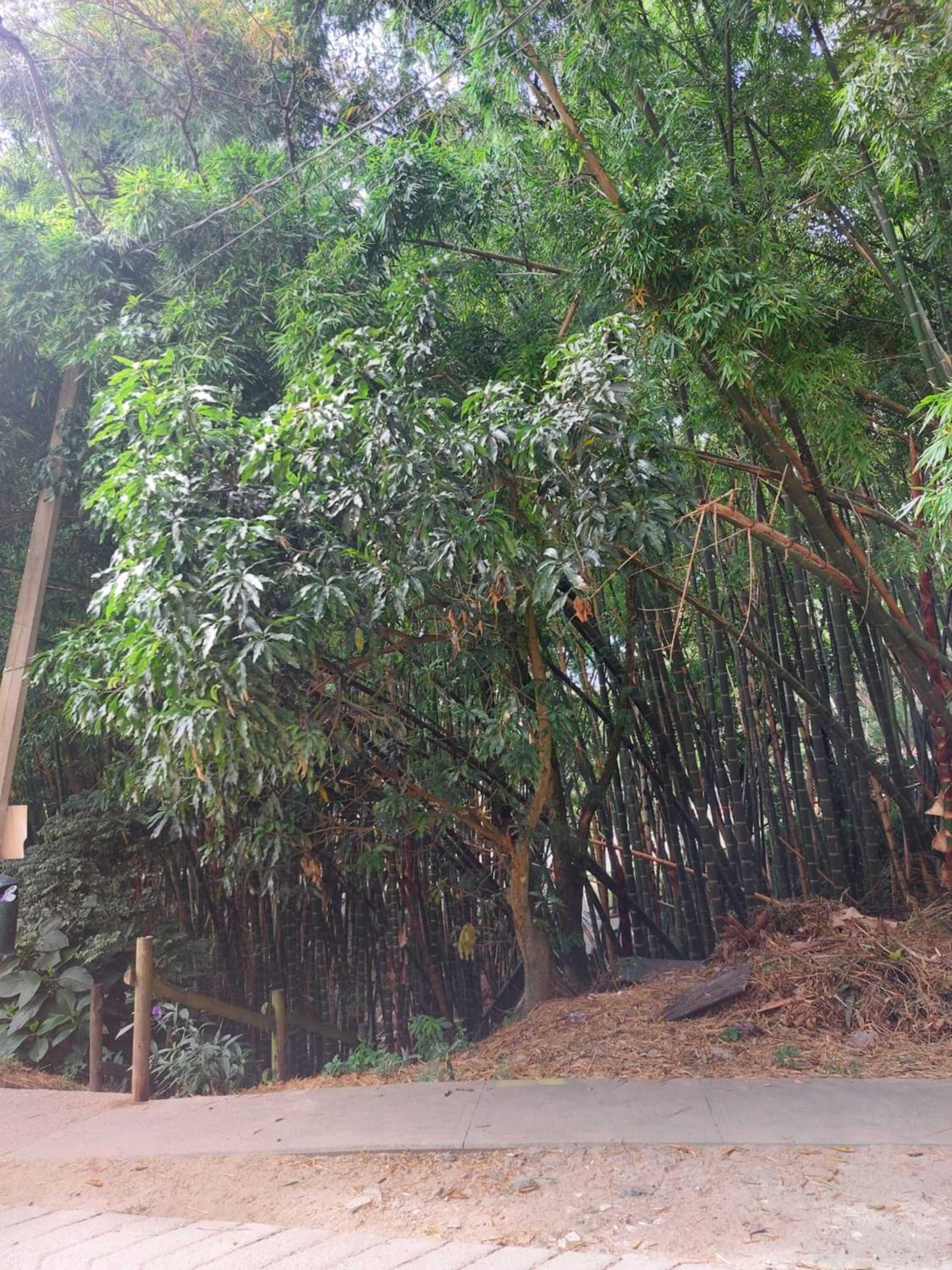 Apartamento Semi-campestre cerca a Universidad San Buenaventura