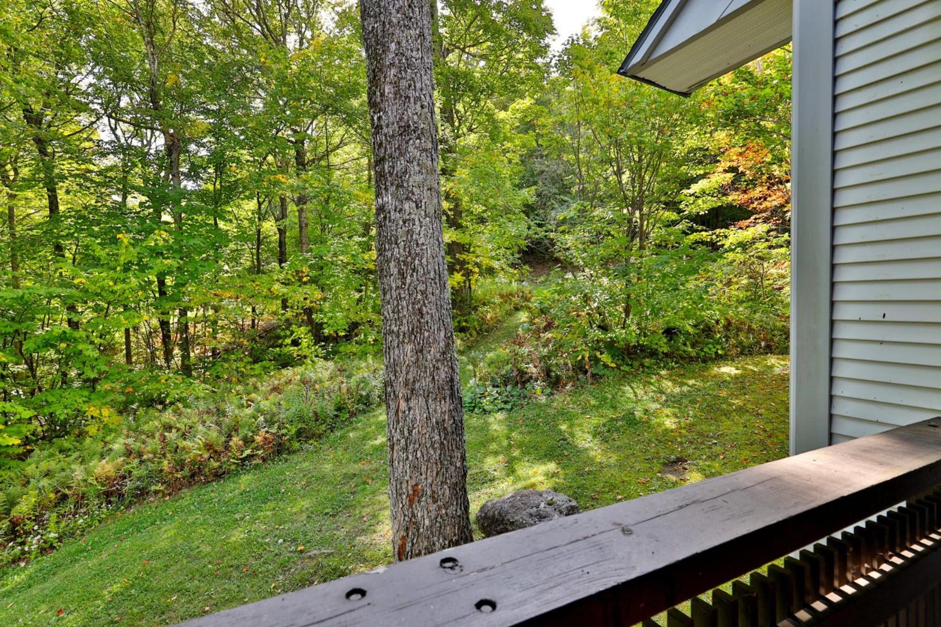 Sunrise Timberline M1- Cozy 2 BR Ski On Ski Off Condo