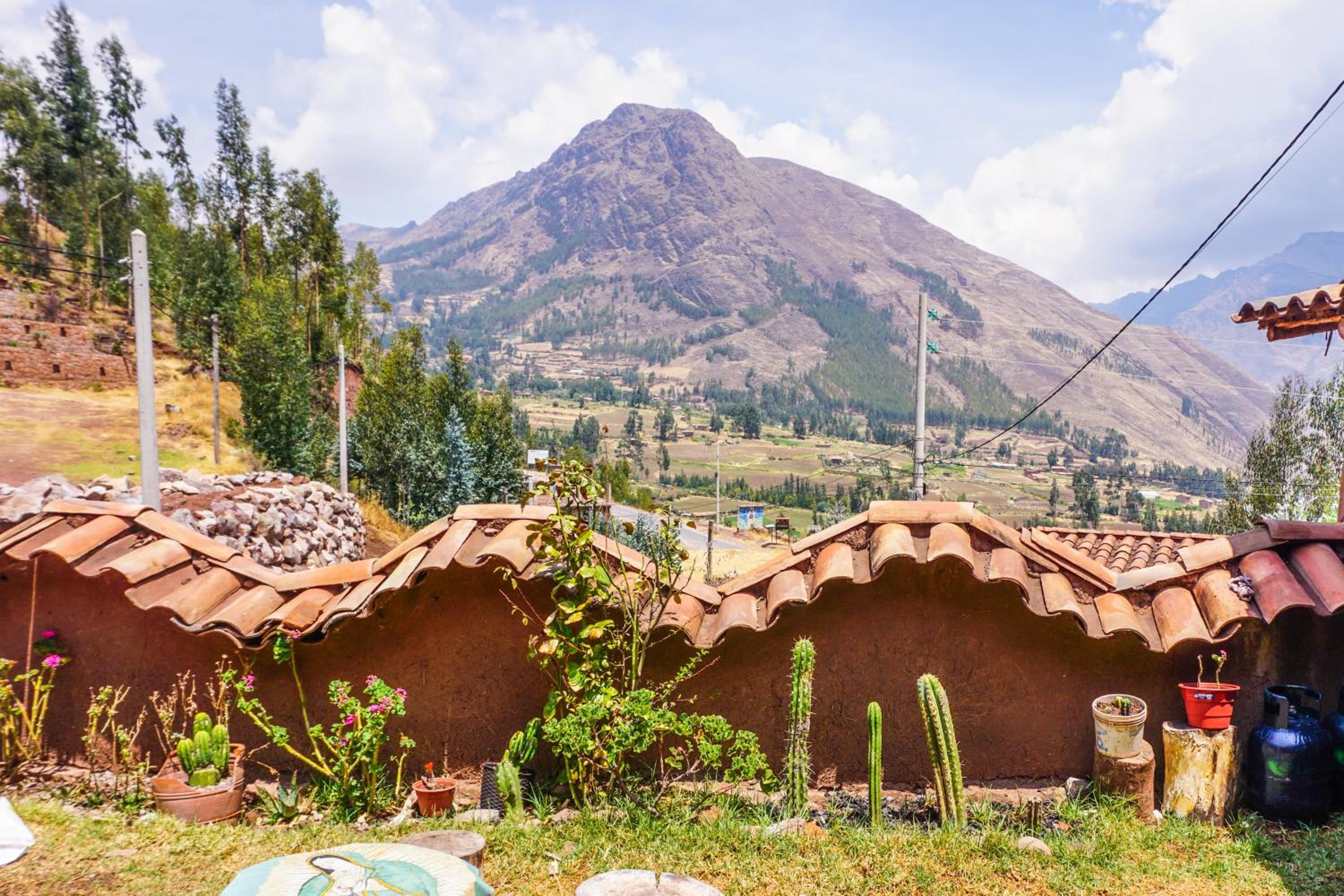 Michi Hampi Medicine Community