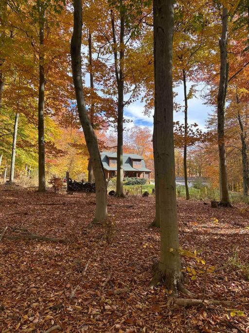 Photo 14