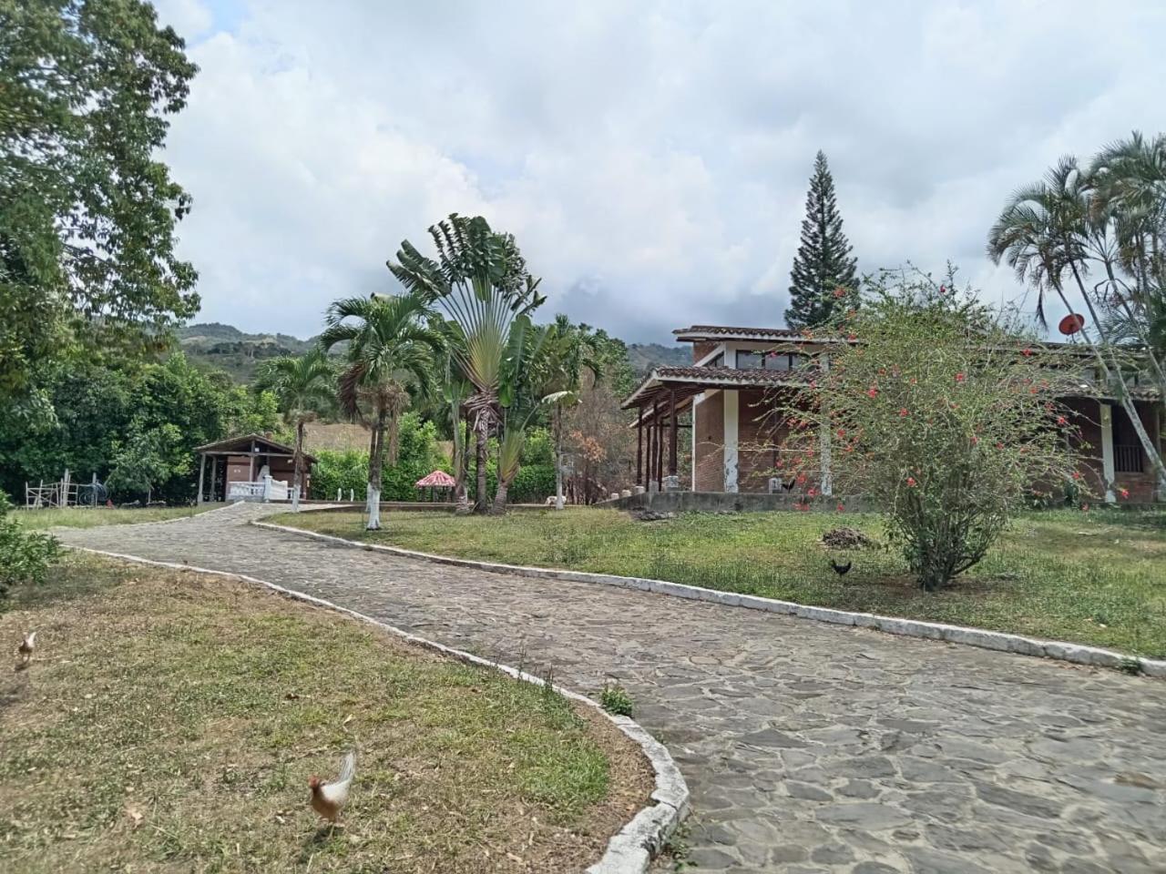 La morena
