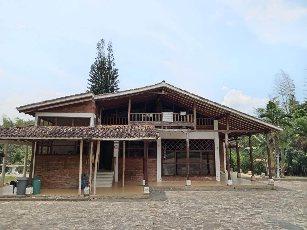 La morena
