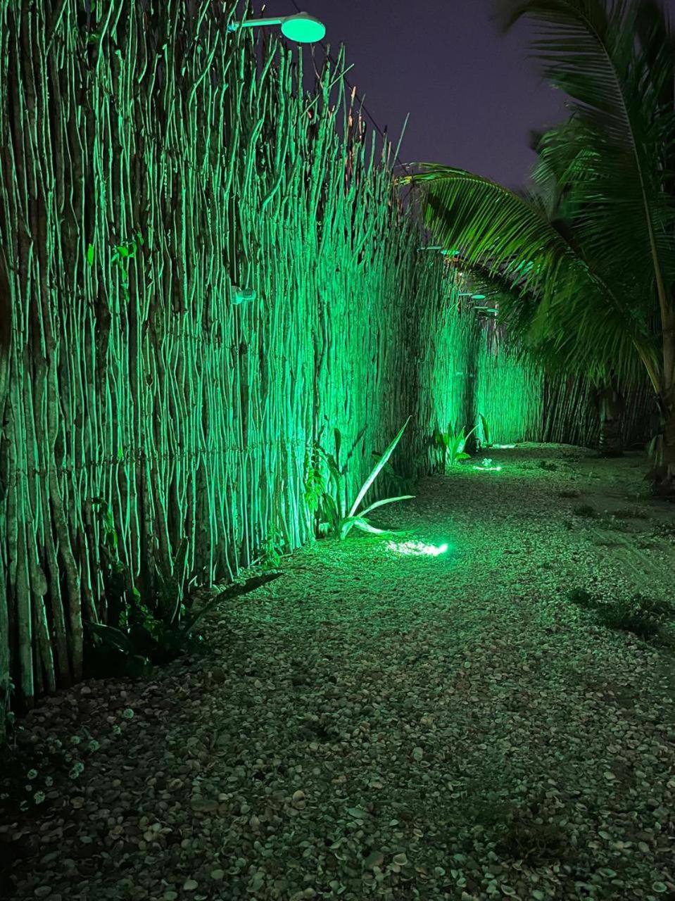 The Jungle, Guriú, CE