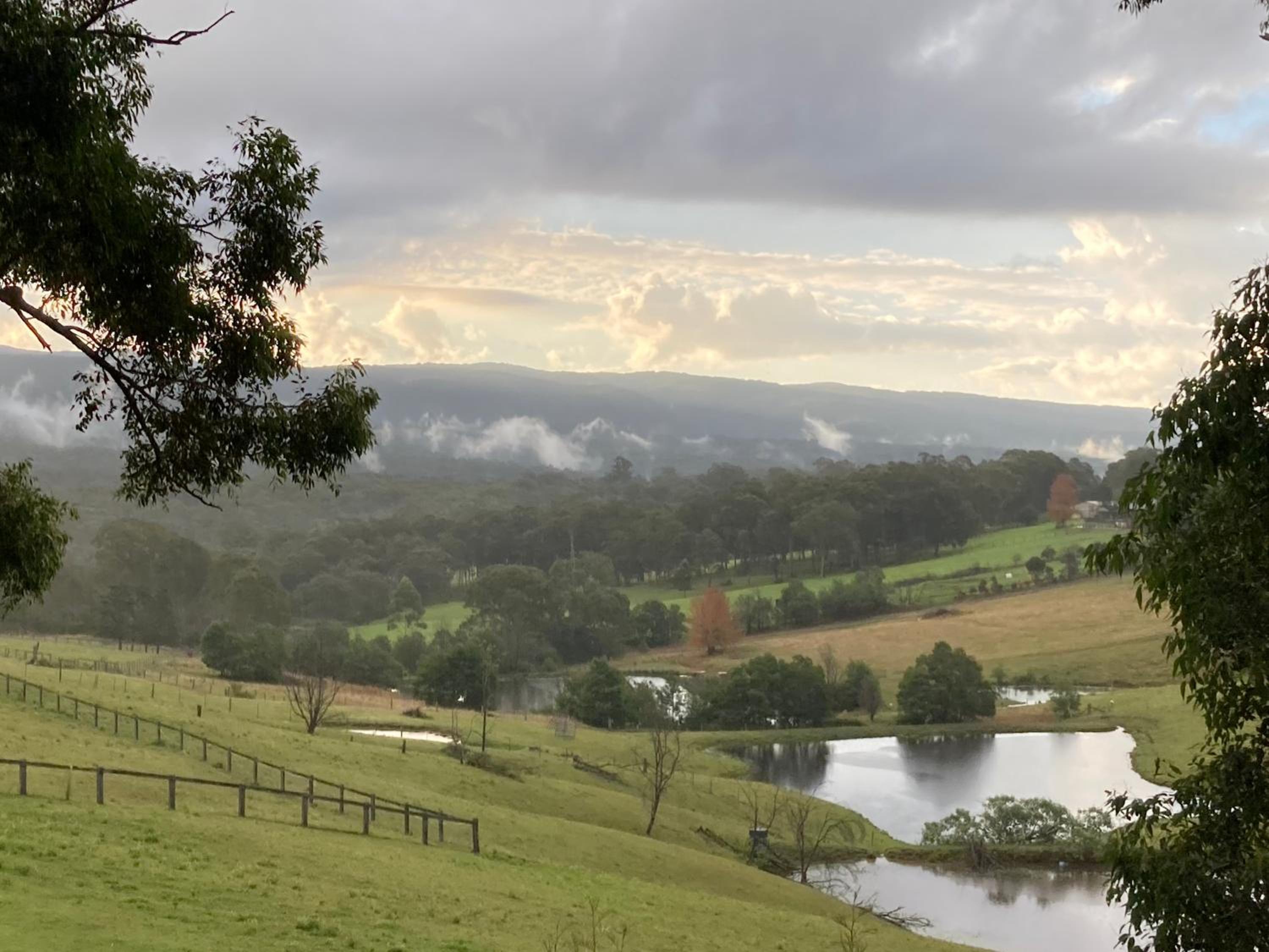 Tiny Home … BIG Views