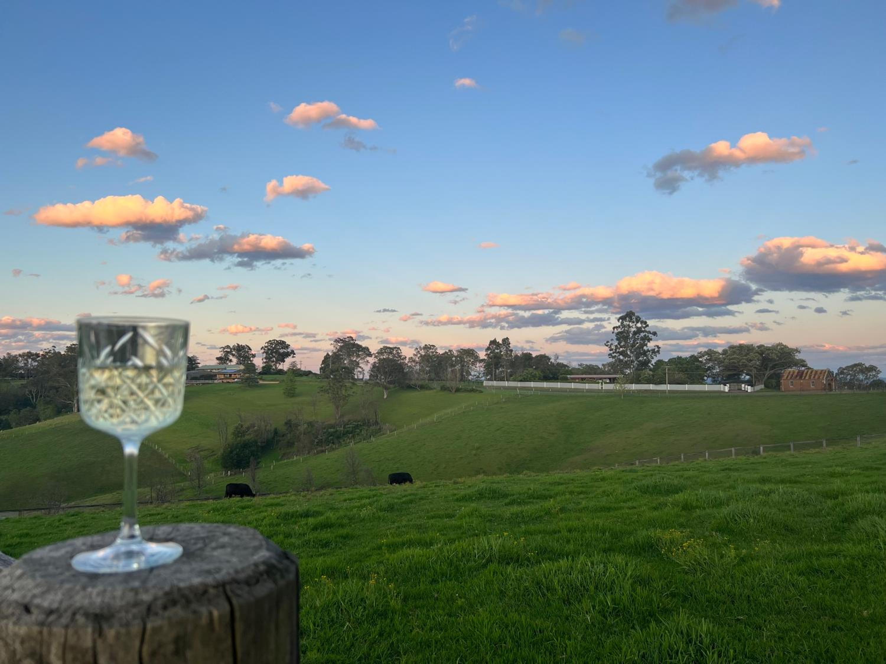 Tiny Home … BIG Views