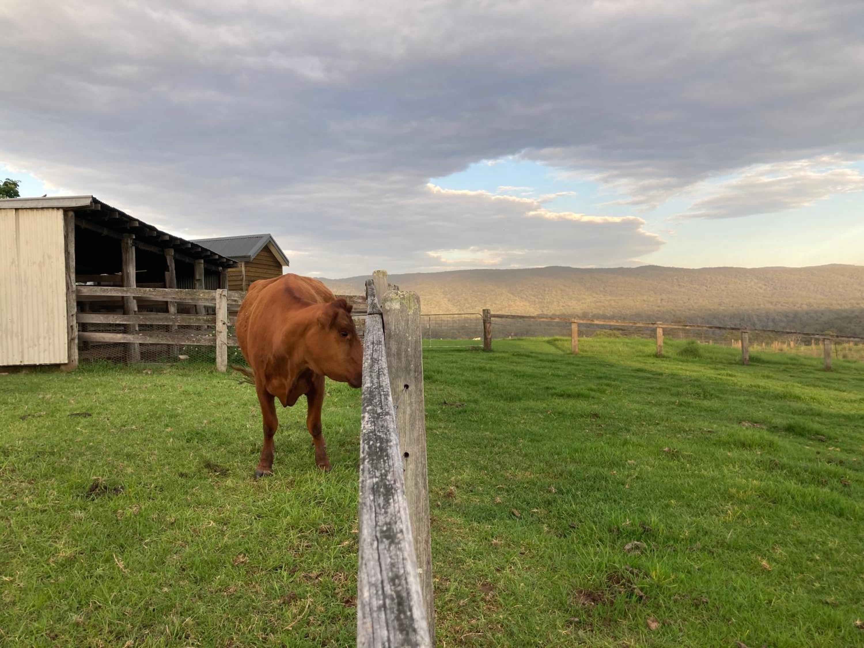 Tiny Home … BIG Views