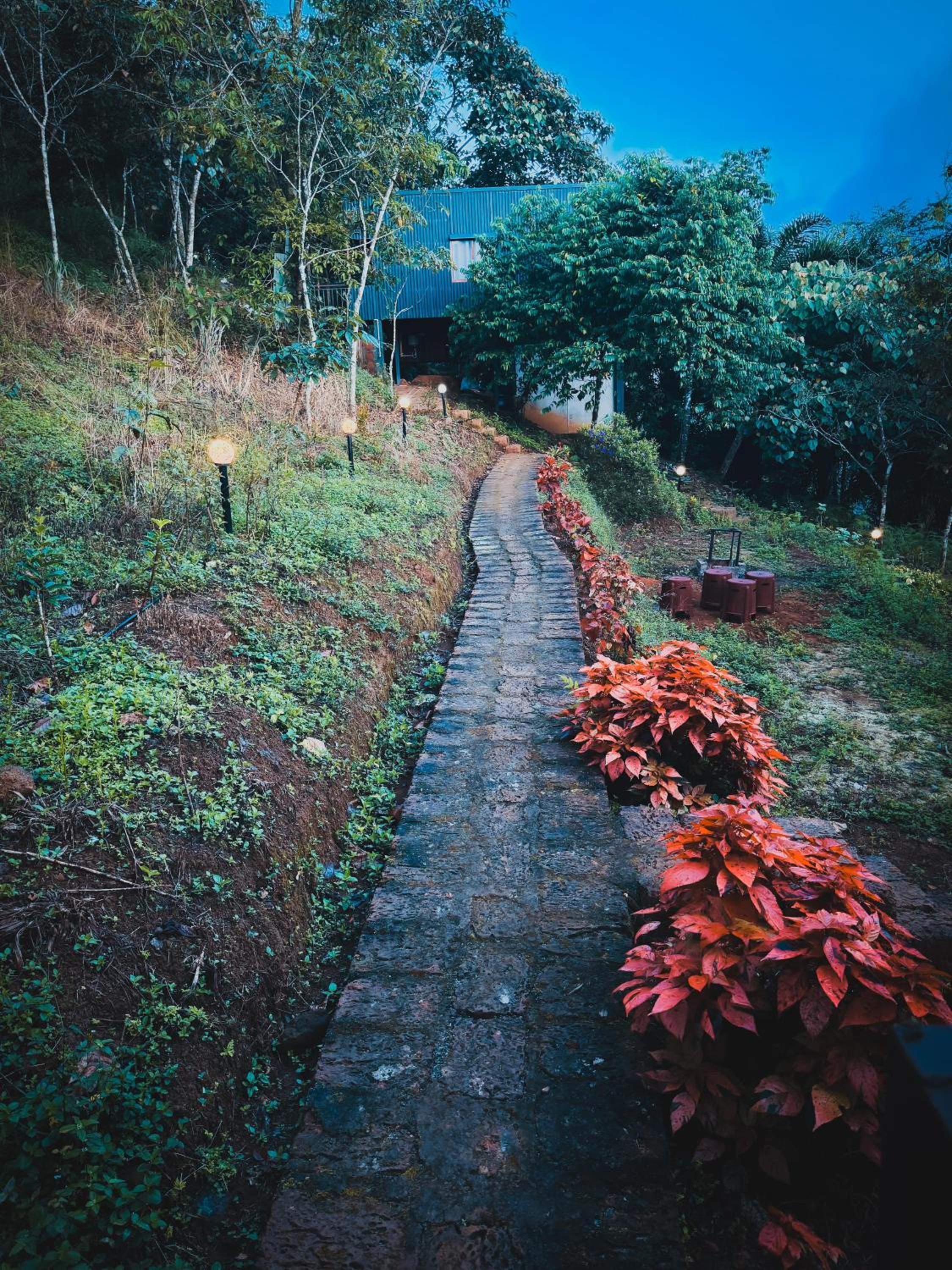 Woodshade Resort